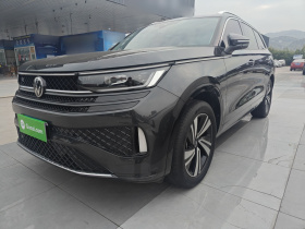 大众 揽巡 2024款 380TSI 四驱R-Line巡游版