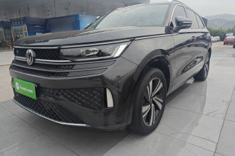 大众 揽巡 2024款 380TSI 四驱R-Line巡游版