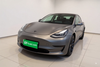 特斯拉 Model 3 2020款 标准续航后驱升级版
