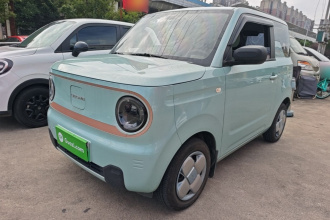 吉利银河 2024款 熊猫mini 200km 耐力熊