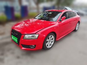 奥迪A5 2010款 2.0TFSI Sportback 舒适型