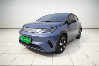 比亚迪 海豚 2025款 智驾版 410km 时尚版