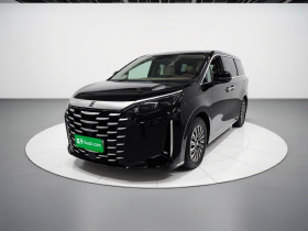 比亚迪 夏 2025款 DM-i 1.5T 180km 卓越型