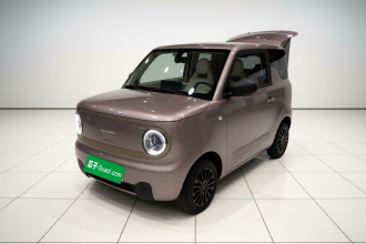 吉利银河 2023款 熊猫mini 200km 耐力熊