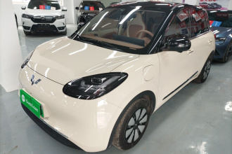 五菱汽车 五菱缤果 2025款 410km 灵犀尊享款