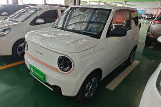 吉利银河 2024款 熊猫mini 200km 耐力熊