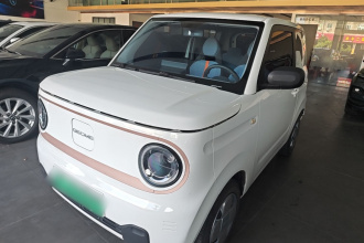 吉利银河 2024款 熊猫mini 200km 耐力熊