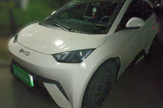 比亚迪 海鸥 2025款 305km 活力版