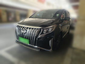 广汽传祺 传祺M8 2021款 领秀系列 390T 至尊版