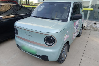 吉利银河 2023款 熊猫mini 120km 超萌熊