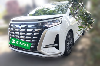 腾势D9 2024款 DM-i 1050 尊享型