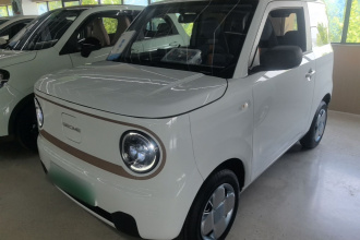吉利银河 2024款 熊猫mini 200km 龙腾PRO版