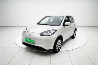 五菱汽车 五菱缤果 2023款 333km 快享款