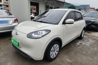 五菱汽车 五菱缤果 2023款 203km 舒享款