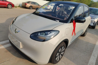 五菱汽车 五菱缤果 2025款 333km 悦享款