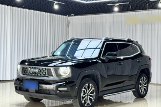 哈弗大狗 PLUS 2023款 2.0T 四驱潮野Plus