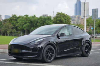 特斯拉 Model Y 2021款 标准续航后驱版