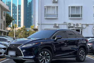 雷克萨斯RX 2020款 改款 300 两驱精英版