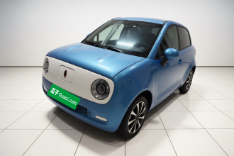 欧拉黑猫 2021款 301km 基础型