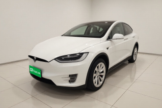 特斯拉 Model X 2019款 长续航版