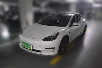 特斯拉 Model 3 2021款 Performance高性能全轮驱动版
