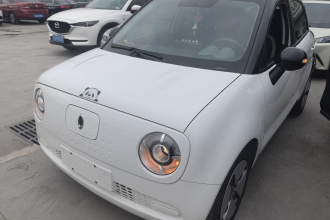 欧拉黑猫 2021款 301km 基础型