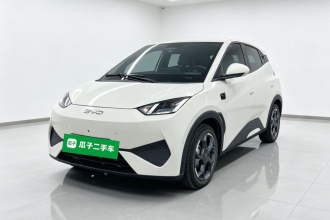 比亚迪 海鸥 2025款 智驾版 305km 自由版