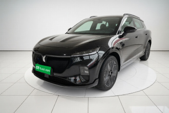 岚图汽车 岚图知音 2024款 四驱全球版