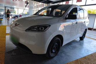五菱汽车 五菱宏光新能源 2024款 纯电版 300KM 标准型