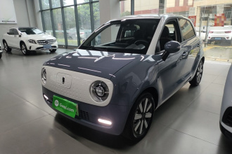 欧拉黑猫 2021款 351km 豪华型