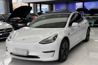 特斯拉 Model 3(进口) 2019款 长续航后驱版