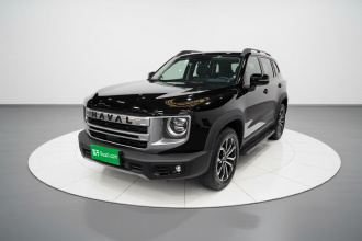 哈弗大狗 2024款 1.5T DCT边牧版