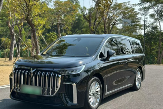岚图汽车 岚图梦想家 2024款 PHEV 超长续航尊贵版