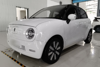 欧拉黑猫 2021款 351km 标准型