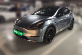 特斯拉 Model Y 2021款 长续航全轮驱动版