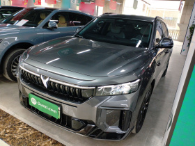 岚图汽车 岚图FREE 2025款 318 318km 后驱环游版