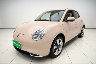 欧拉好猫 2022款 莫兰迪版 400km标准续航 尊贵型 磷酸铁锂