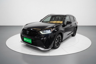 丰田 皇冠陆放 2021款 2.5L HEV四驱尊贵版