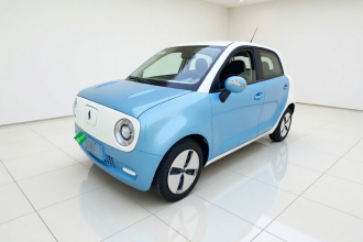 欧拉黑猫 2021款 301km 基础型
