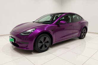 特斯拉 Model 3 2022款 后轮驱动版