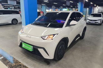 比亚迪 海鸥 2025款 305km 活力版
