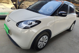 五菱汽车 五菱缤果 2023款 203km 轻享款