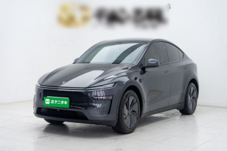 特斯拉 Model Y 2025款 长续航全轮驱动版