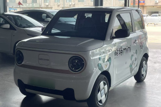 吉利银河 2024款 熊猫mini 200km 耐力熊