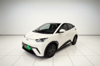 比亚迪 海鸥 2025款 智驾版 305km 活力版