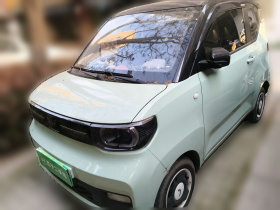 五菱汽车 宏光MINIEV 2020款 悦享款 三元锂