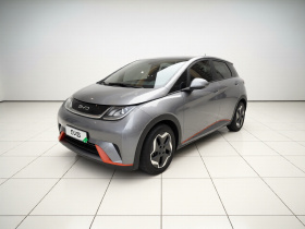 比亚迪 海豚 2021款 405km 时尚版