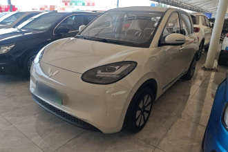 五菱汽车 五菱缤果 2024款 333km 悦享款