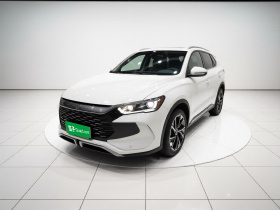 比亚迪 宋Pro新能源 2023款 冠军版 DM-i 110KM卓越型