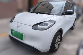 五菱汽车 五菱缤果 2024款 203km 轻享款